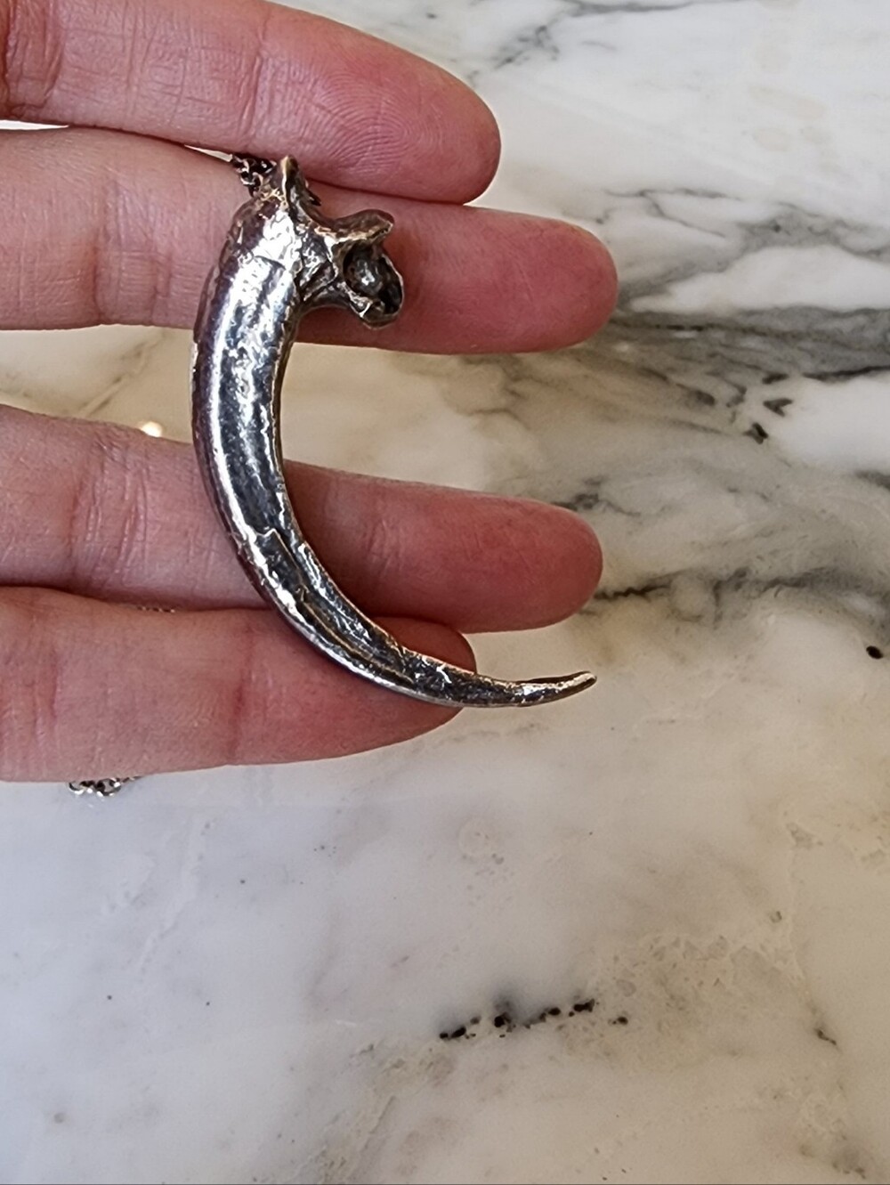 Pamela Love Rare Silver Eagle Talon Necklace - Picture 7 of 8